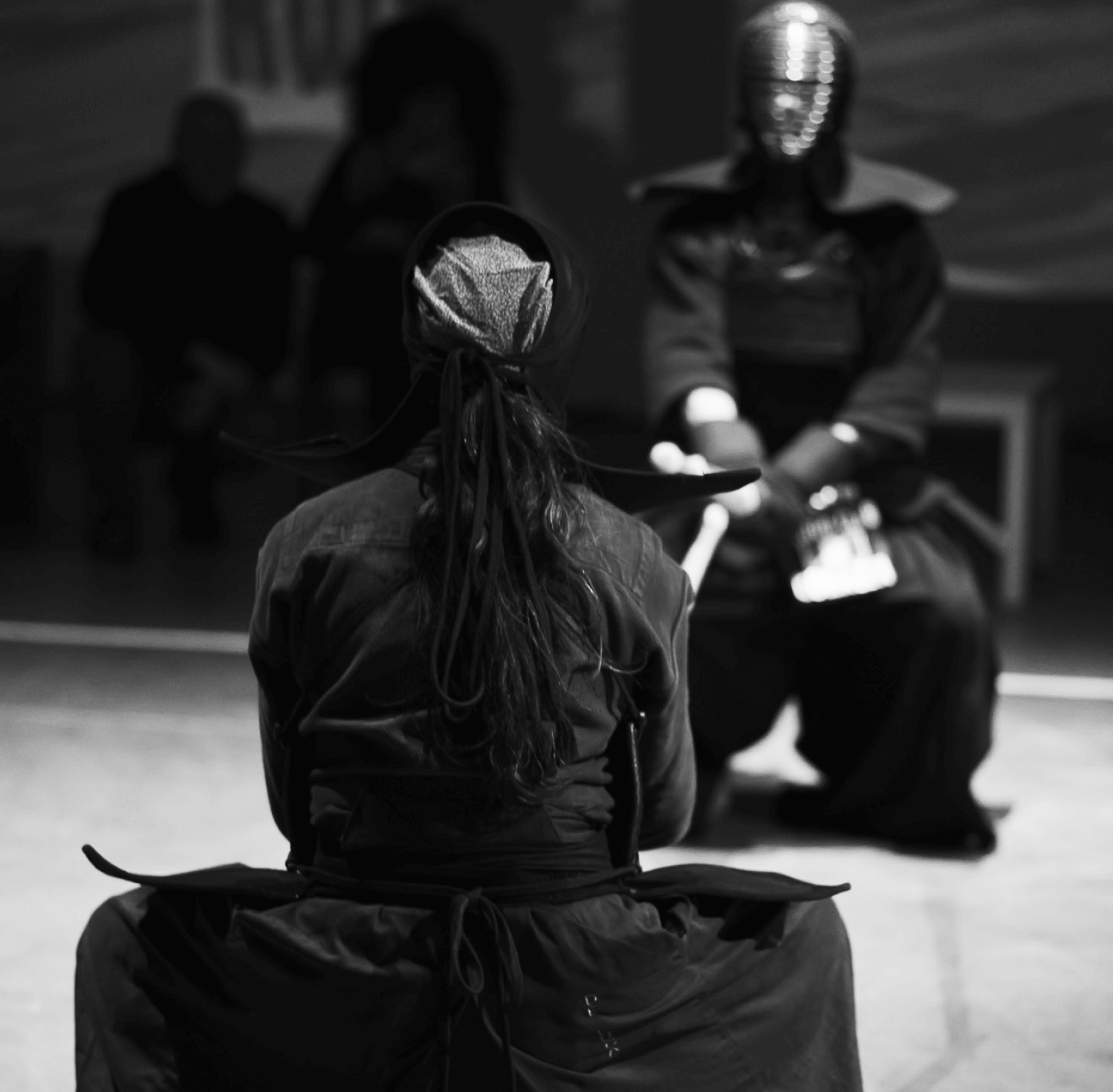 image-dojo
